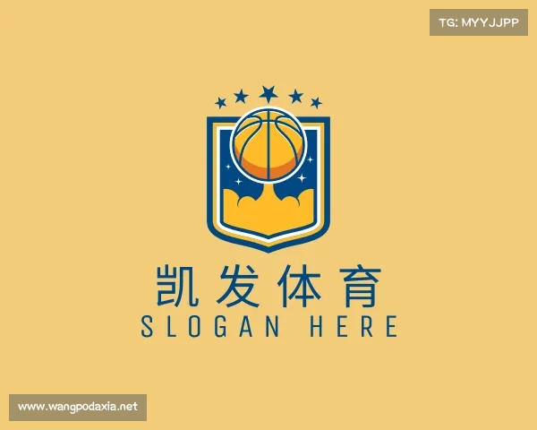 了解凯发体育
